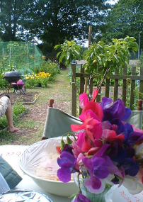 Grow your own in Maidstone