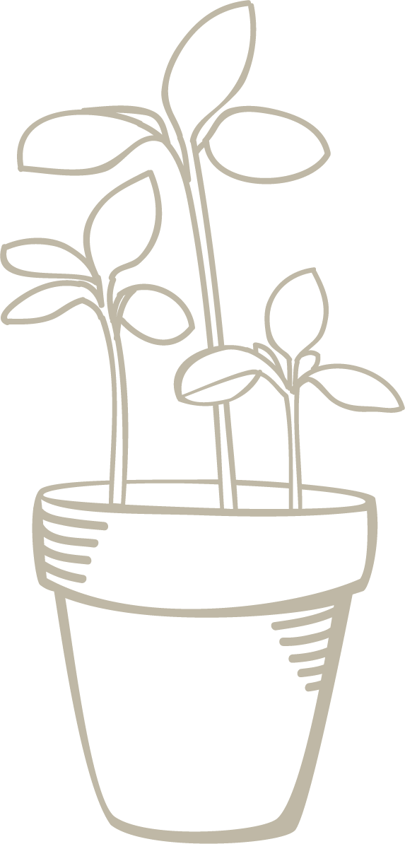 pot