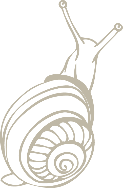 snail